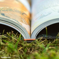 JobJob LLC The Legend's Cookbook Digital EBook Books & Prints