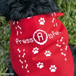 Can You Pet The Dog? Accessories Press A To Pet