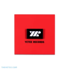 The Yetee Yetee Records Pin! Yetee Gear